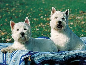 />
</div>

<div class=